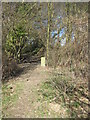 Footpath junction, north of Bulleigh Barn in TN30 7NQ