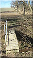 Footbridge near Crosscutfield Shaw in TN30 6TU