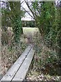 Footbridge, Batchmere's Farm in Almodington