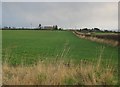 Arable land, Dirleton in EH39 5LS