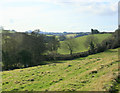 2010 : West along the valley of Conygre Brook in Priston