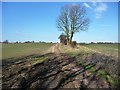 Farm track to Newstead Grange in WF4 2HR