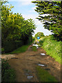 Footpath off Ramley Road, Upper Pennington, Lymington in SO41 8HD