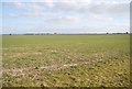 The flat landscape of the Romney Marshes in TN29 9RZ