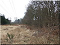 Line of Castleman Railway, Ferndown in BH21 7QD