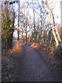 Path on Silchester Common in RG7 2NP
