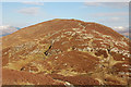 The east side of Barrow in Above Derwent