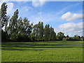 Highter's Heath recreation ground in B14 4PN