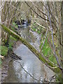 Stream near Hatchetts in RH5 5DU
