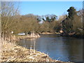 The River Colne above the Cricketfield Road Bailey Bridge in UB7 0AQ