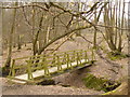 Footbridge in The Birches in RH5 5BP
