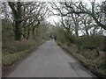 Leagreen, Barnes Lane in SO41 0RR