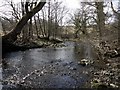 Hart Burn, below the bridge in Hartburn