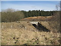 Former Railway Bridge over Hawkhope Burn in NE48 1BD
