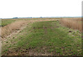 Track south of level crossing no. 39 Hillcrest in NR14 6LR