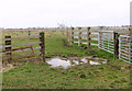 Cattle pens in the Limpenhoe marshes in NR14 6LR