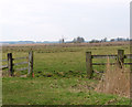 A pasture in the Limpenhoe marshes in NR14 6LR