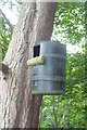 Owl Box in Cropton Forest in YO18 8EU