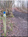 Greensand Way and Weardale Way in Hosey Common in TN16 1PN