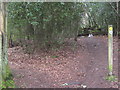 Footpath junction in Crockhamhill Common in TN16 1PS