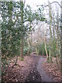 The Greensand Way in Crockhamhill Common in TN16 1PS