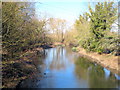 The River Colne upstream of Iver Lane bridge in UB8 2RW
