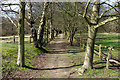 Path from Costells to Costells Wood in RH17 7PP