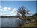 North east shoreline of Longmoor Pool in B73 6PX