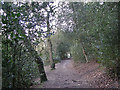 Footpath in Upper Nut Hurst in B74 2QY