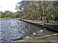 The dam at Blackroot Pool in B74 2QY