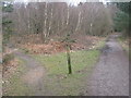 Track and path  junction in Limpsfield Chart in RH8 0TA