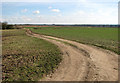 Unmarked track north of Fairstead Lane in South Norfolk District