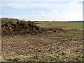 Cultivated fields north of Fairstead Lane in South Norfolk District