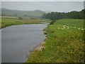 River Clyde, above Wolfclyde Bridge in ML12 6GN