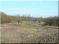 South Marston allotments in SN3 4TH