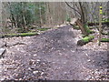 Footpath junction in Tower Wood in TN16 1PN