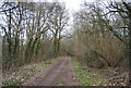 Footpath through Weir Field Shaw in TN3 8LX