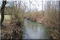 River Teise: upstream in TN3 8LX