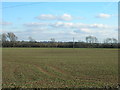 Farmland near Lowdham in NG14 7AQ