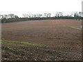 Farmland North of Ploughman Wood in NG14 6DN