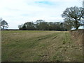 Farmland near Hagg Cottage in Gonalston