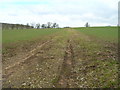 Farm Track off  Main Street, Epperstone in NG14 6TR