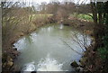 The River Teise from Clay Hill Rd in TN3 8LS