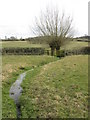 Small Stream Across The Footpath in HR6 9PQ
