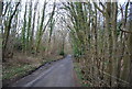 Clay Hill Rd through Brown's Wood in TN3 8AZ