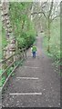 Path behind the dam, Worsley in M28 2GR