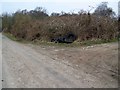 Flytip, Drove Lane, Coombe Bissett in SP2 8PN