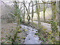 Tributary of the Lynher in PL17 7JR