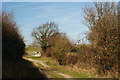 Bridleway at Westhampnett, Sussex in PO19 6HB
