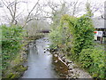 River Erme, Ivybridge in PL21 0UZ